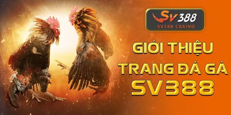 Tìm hiểu thông tin về sảnh game đấu gà SV388